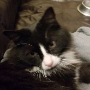 Meet your Posher, Brandy